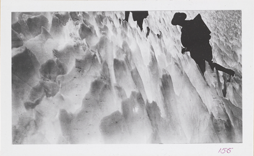File: 'nsidc_glacierPhotos_USGS_1909_155'